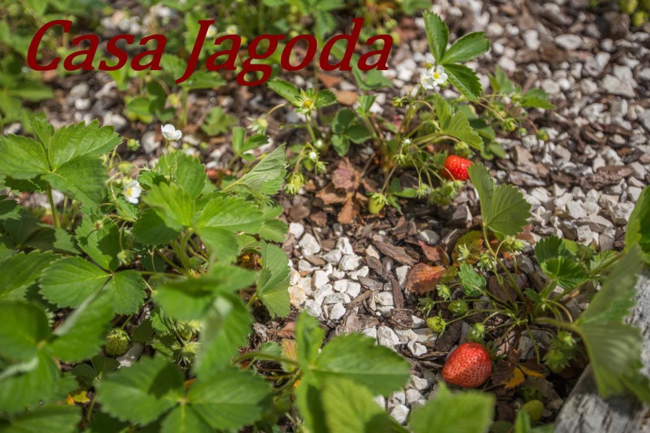 Casa Jagoda Višnjan Buitenkant foto